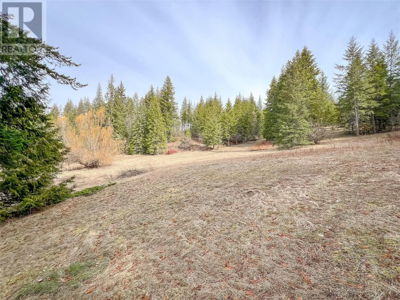 Commercial for Sale in British-columbia