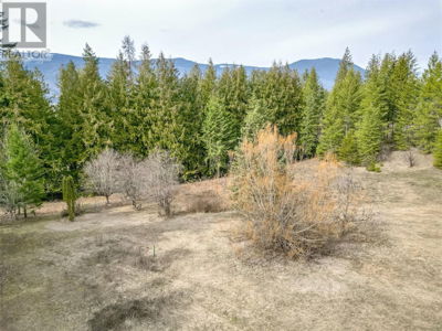 Commercial for Sale in British-columbia