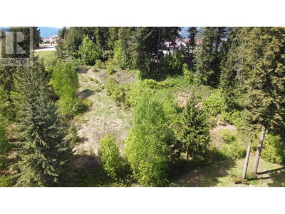 Commercial for Sale in British-columbia