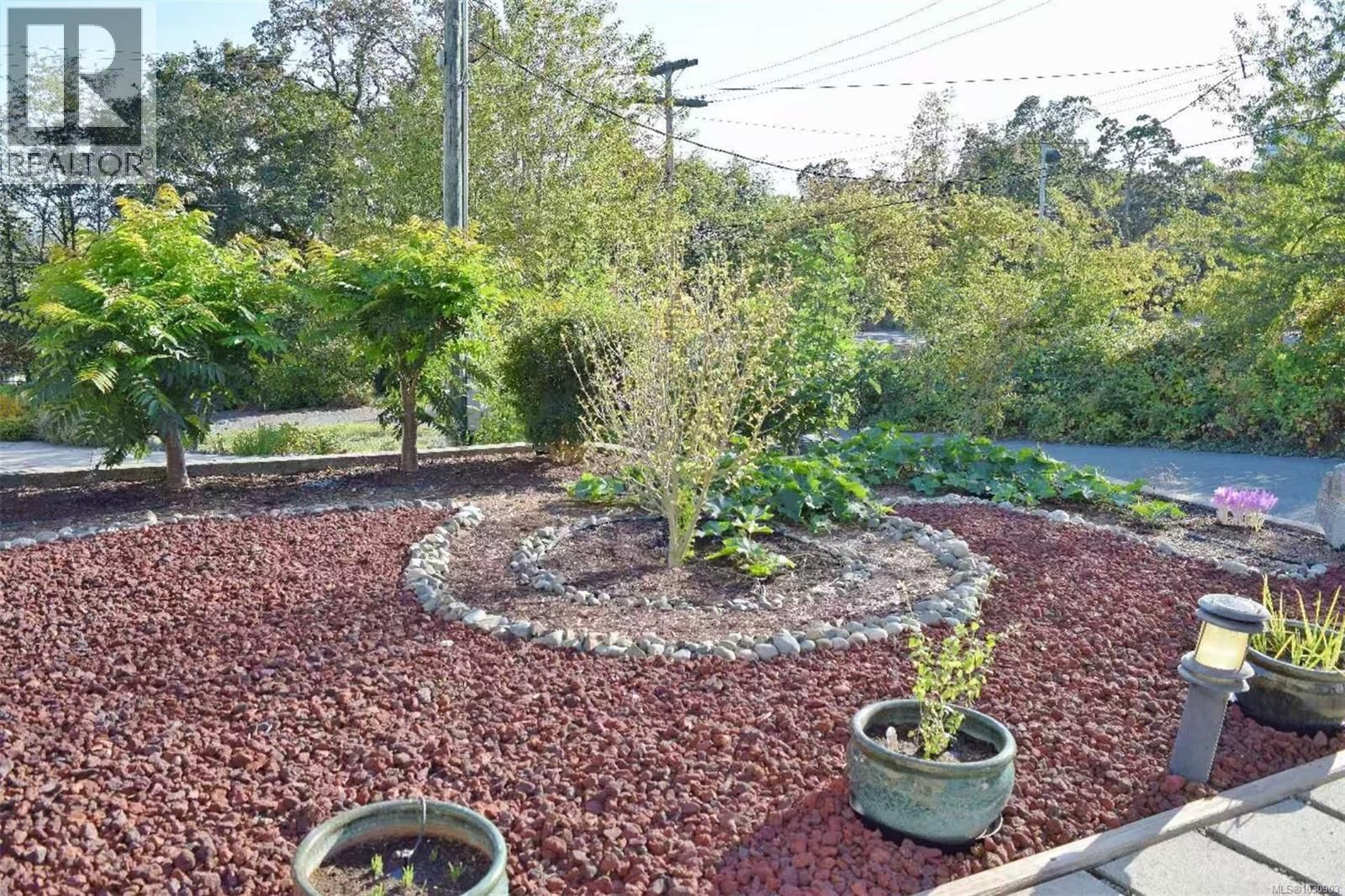 4037 Nelthorpe Street property photo