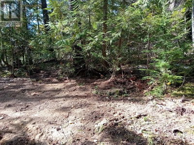 Commercial for Sale in British-columbia