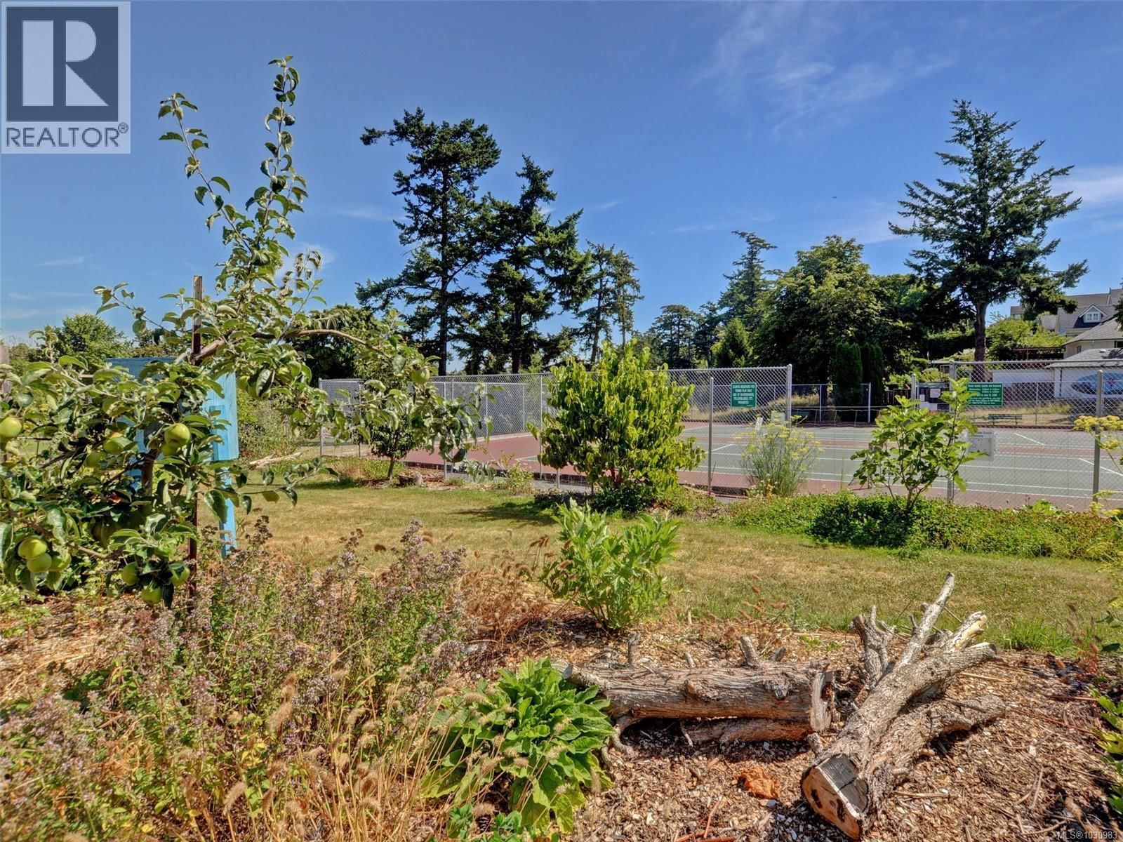 621 PINE STREET Image 37