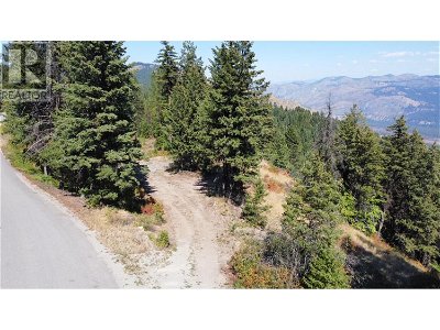 Image #1 of Commercial for Sale at Lot 3 Hulme Creek Road Unit# Lot 3, Rock Creek, British Columbia