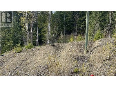 Image #1 of Commercial for Sale at Lot 2 Anglemont Way, Anglemont, British Columbia