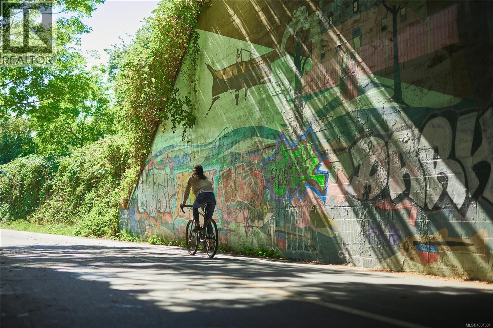 201 - 1075 TILLICUM ROAD Image 17