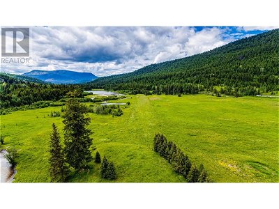 Image #1 of Commercial for Sale at 0000 China Valley Road, Falkland, British Columbia