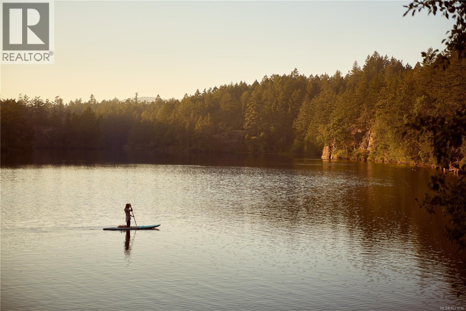 311 - 1075 TILLICUM ROAD Image 15