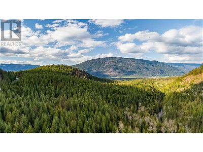 Image #1 of Commercial for Sale at 423 Highway 6 Highway, Cherryville, British Columbia