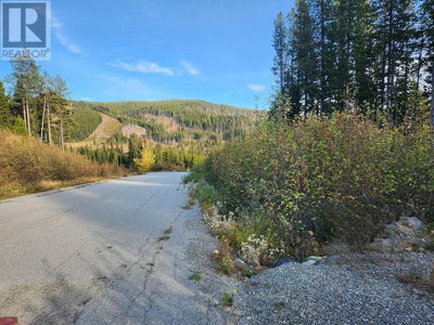 Image #1 of Commercial for Sale at Lot 21 Buck Road, Oliver, British Columbia