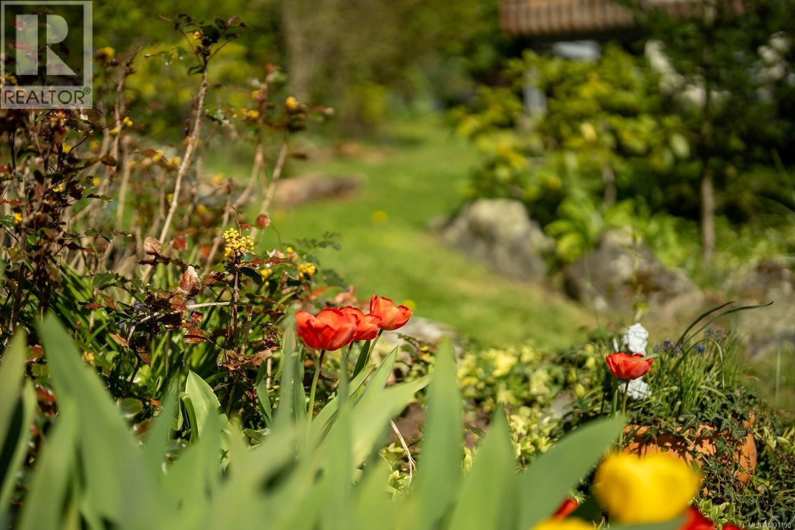 381 MONTCALM AVENUE Image 45