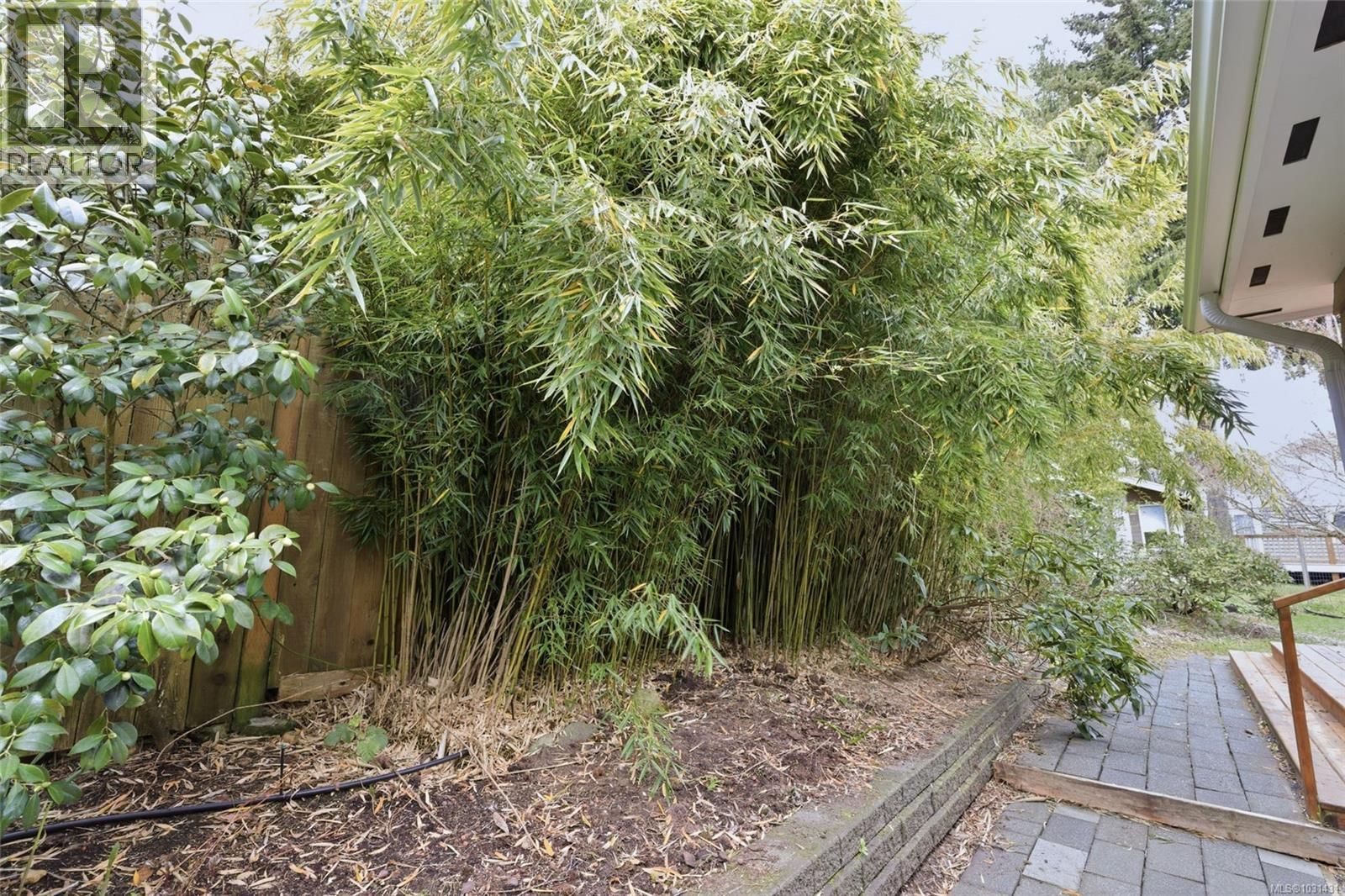 629 JONES STREET Image 21