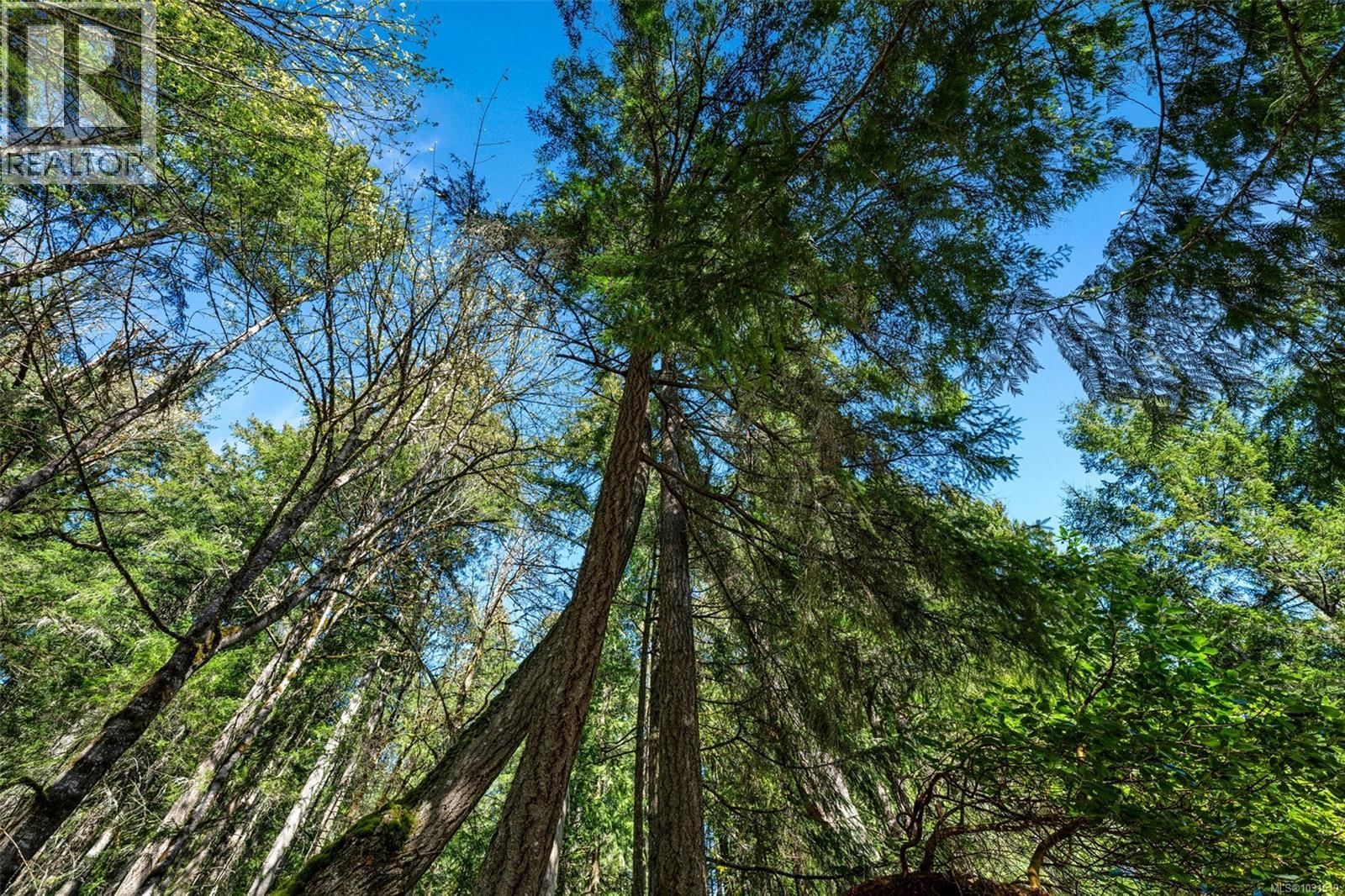 1751 BURNHAM ROAD Image 61