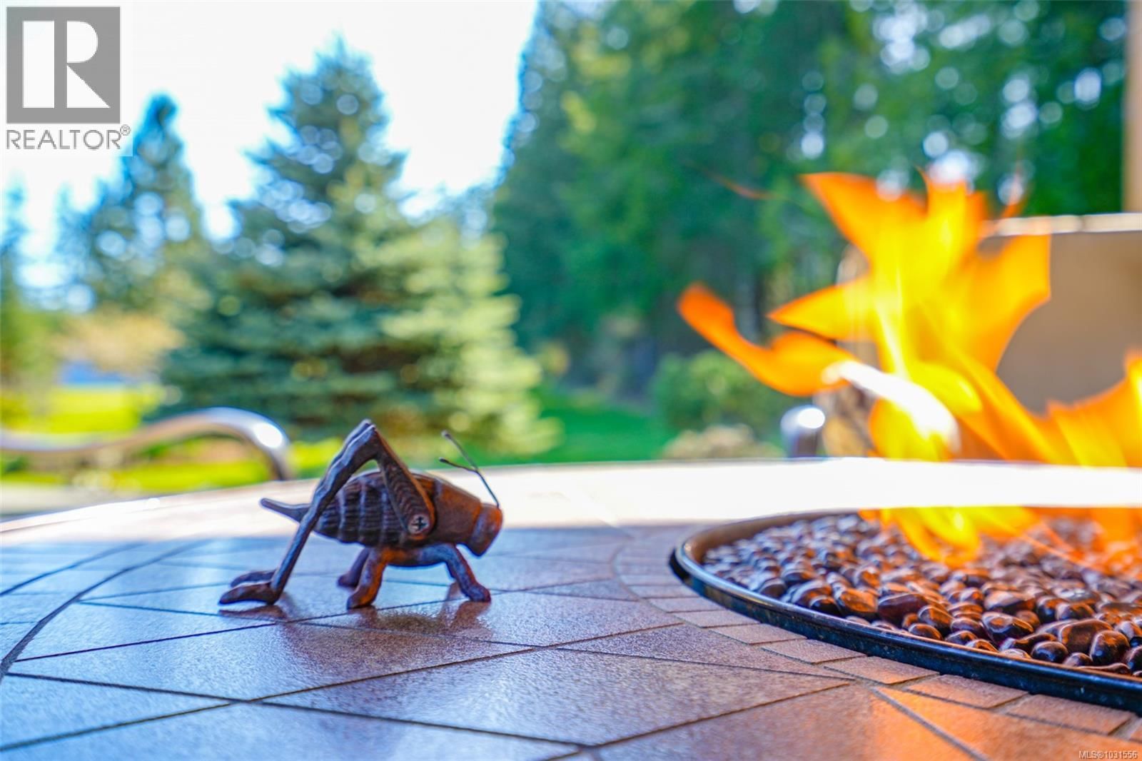 3170 MOZART ROAD Image 20