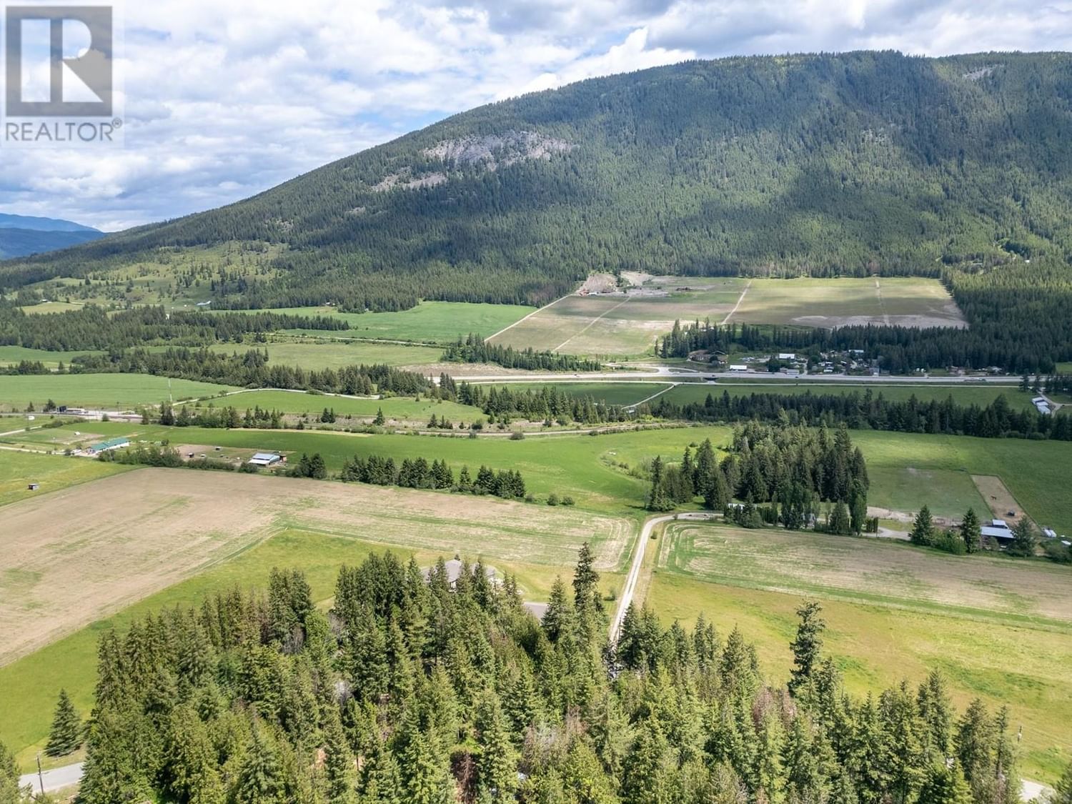 Primary Property View