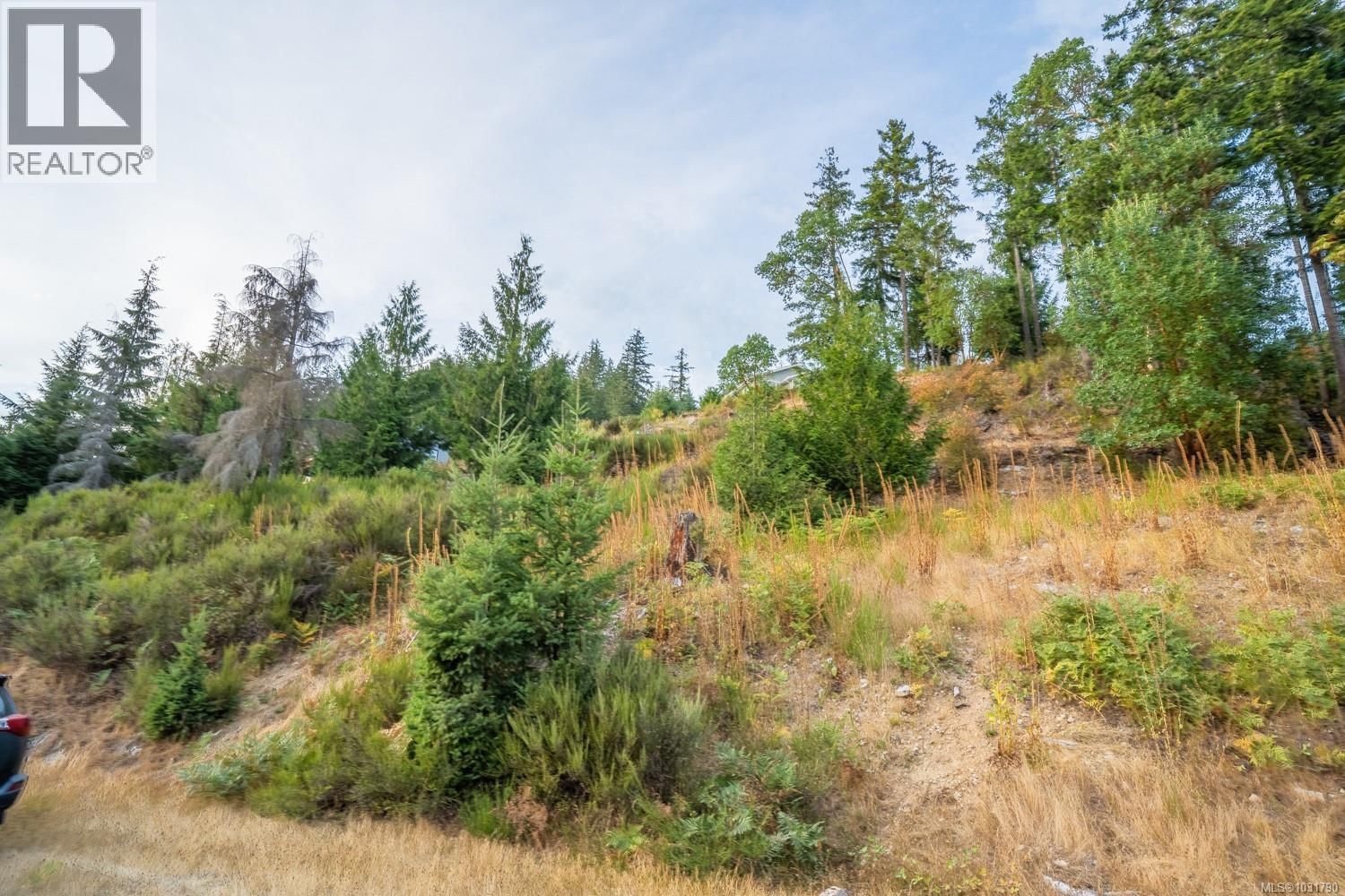Lot 13 Teal Court property photo