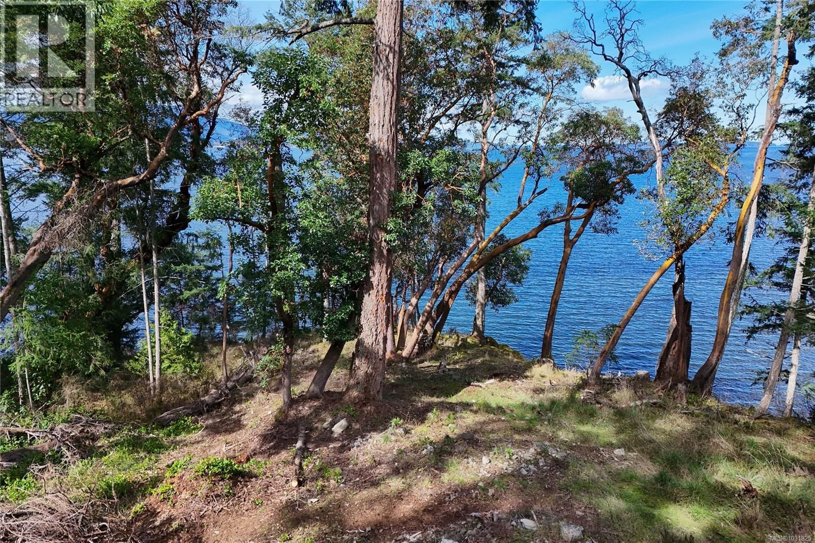 138 NARROWS WEST ROAD Image 5