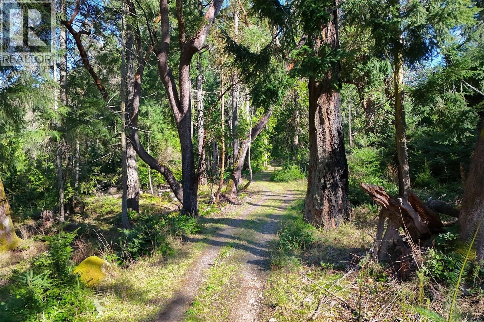 138 NARROWS WEST ROAD Image 9