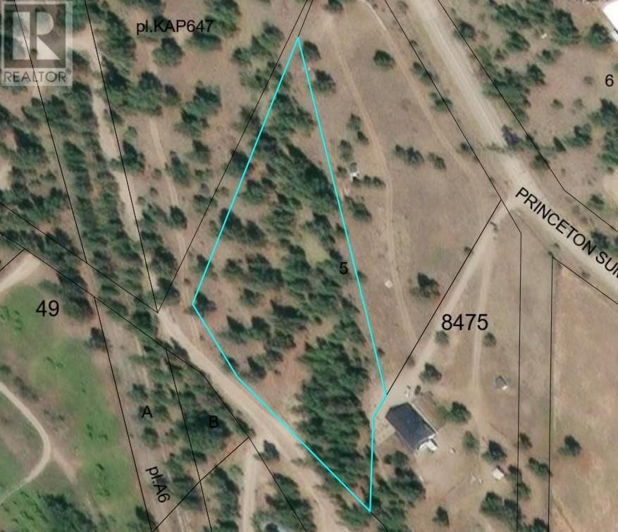 Primary Property View