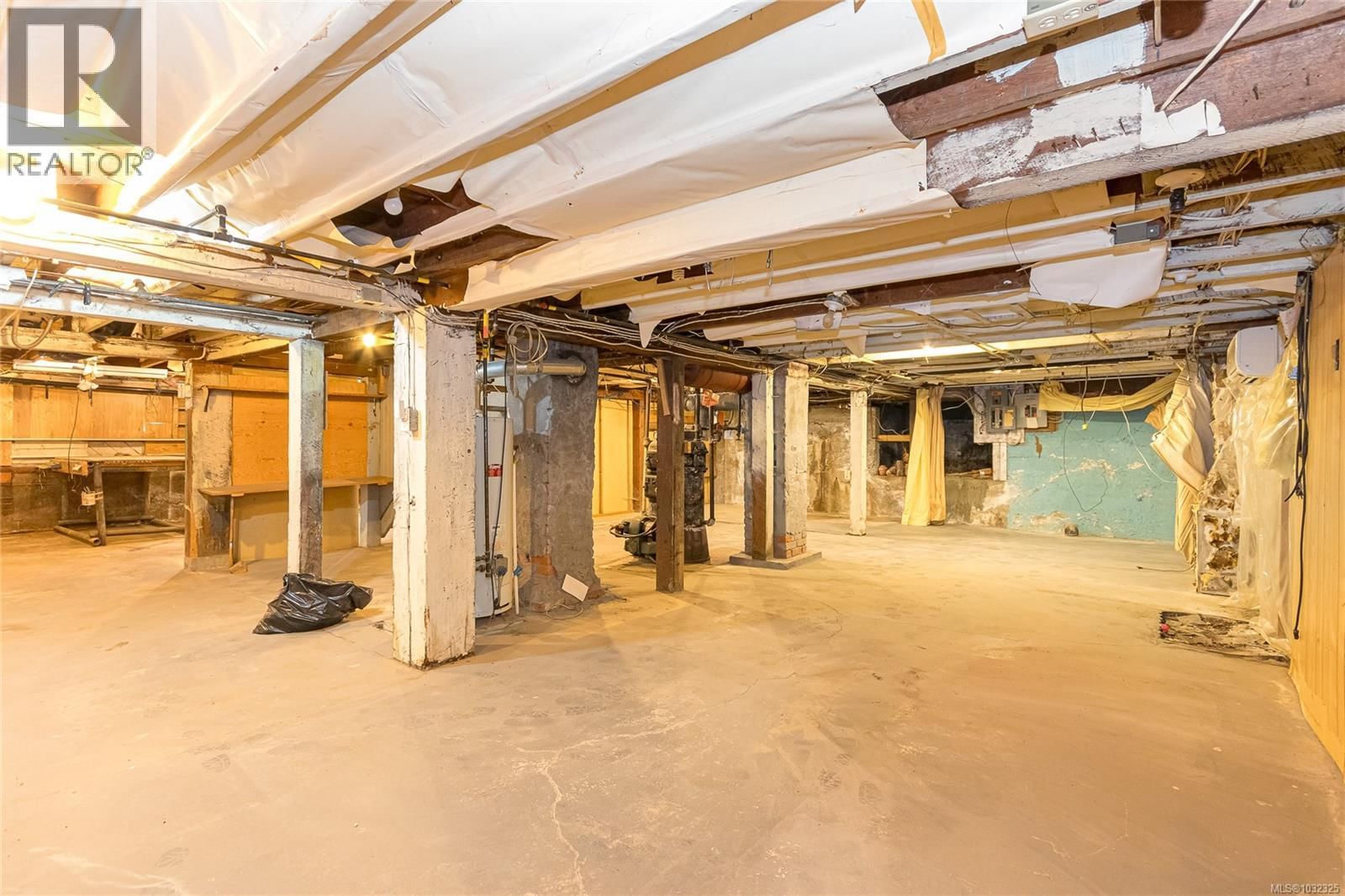 824 ELLERY STREET Image 14