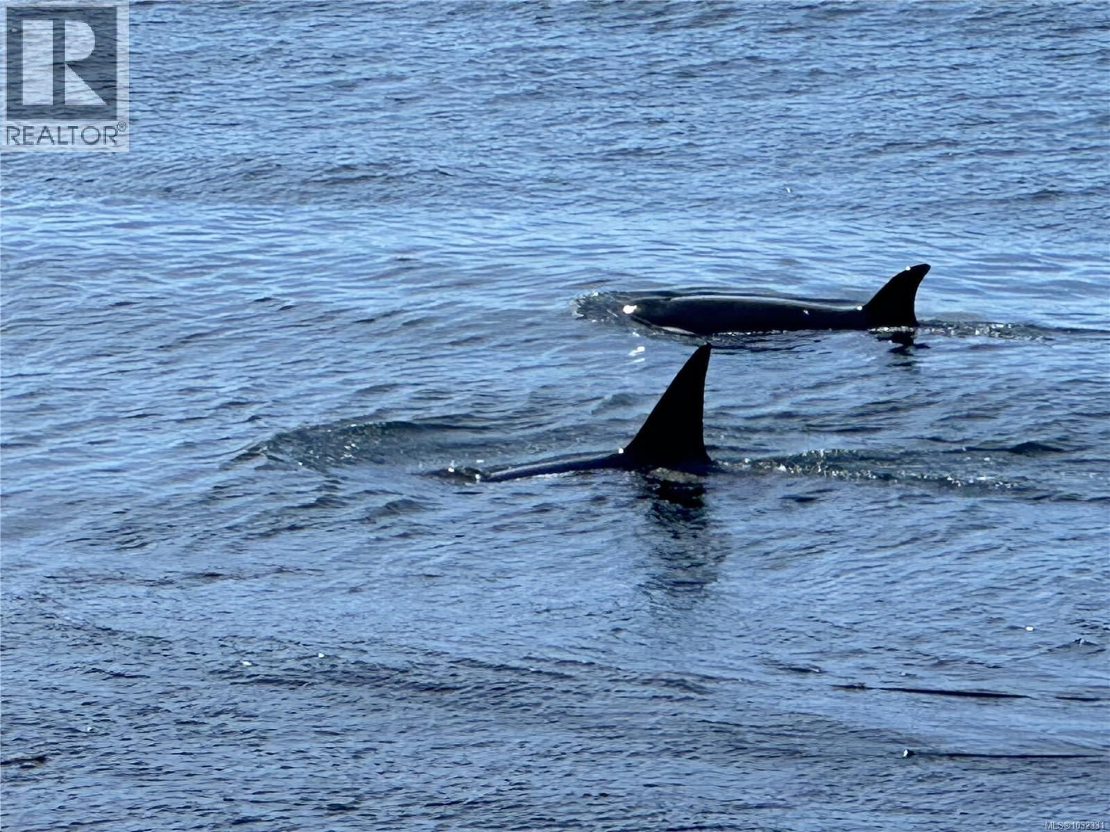 2480 LIGHTHOUSE POINT ROAD Image 59