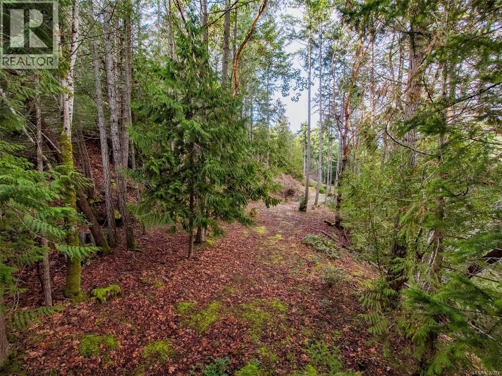 8439 LISA LANE Image 12