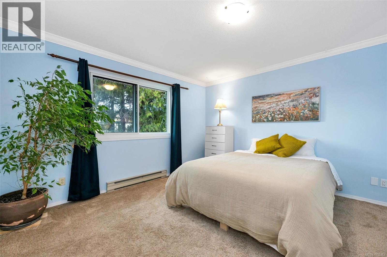 2624 FORBES STREET Image 29