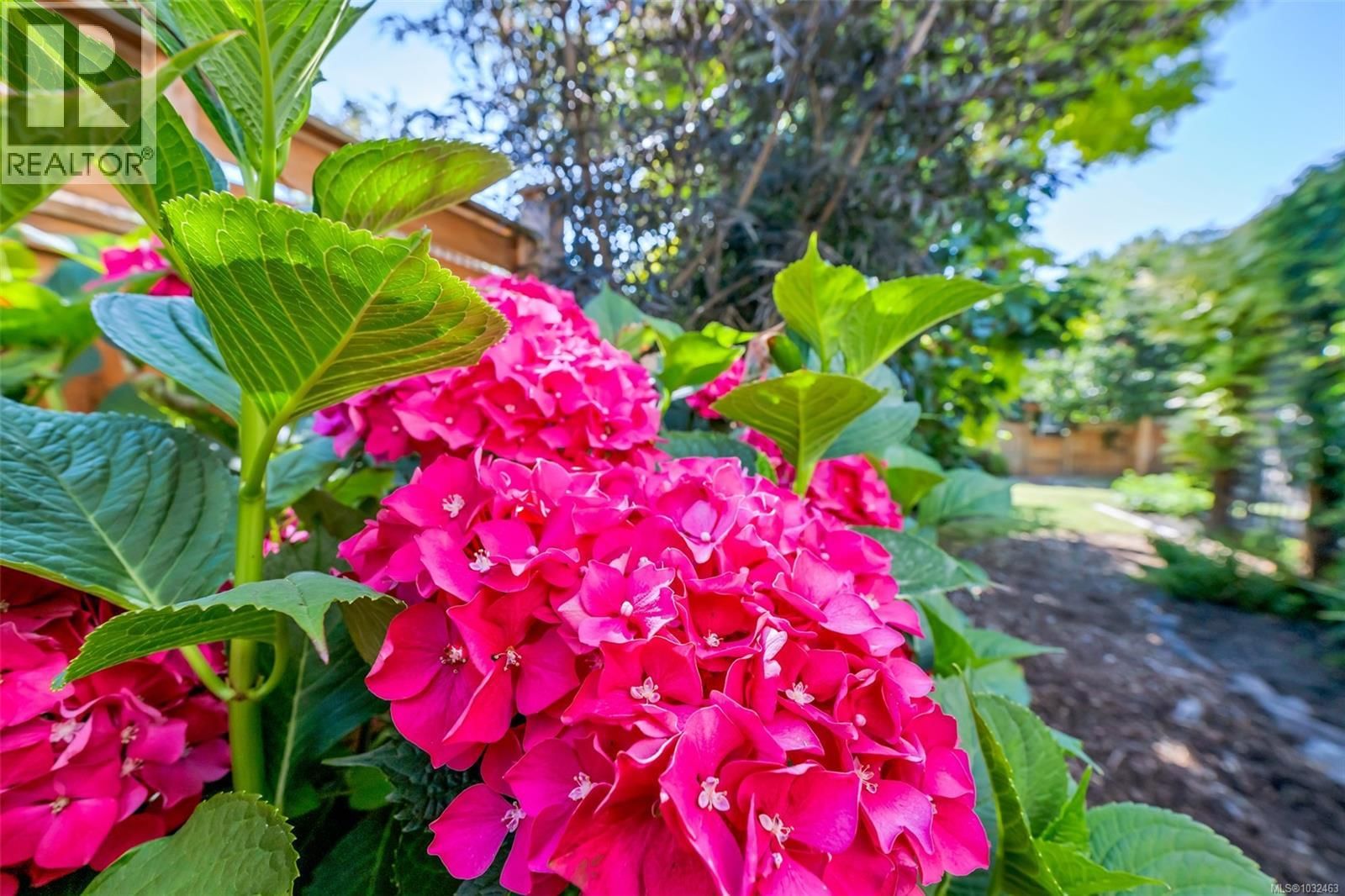 2624 FORBES STREET Image 60