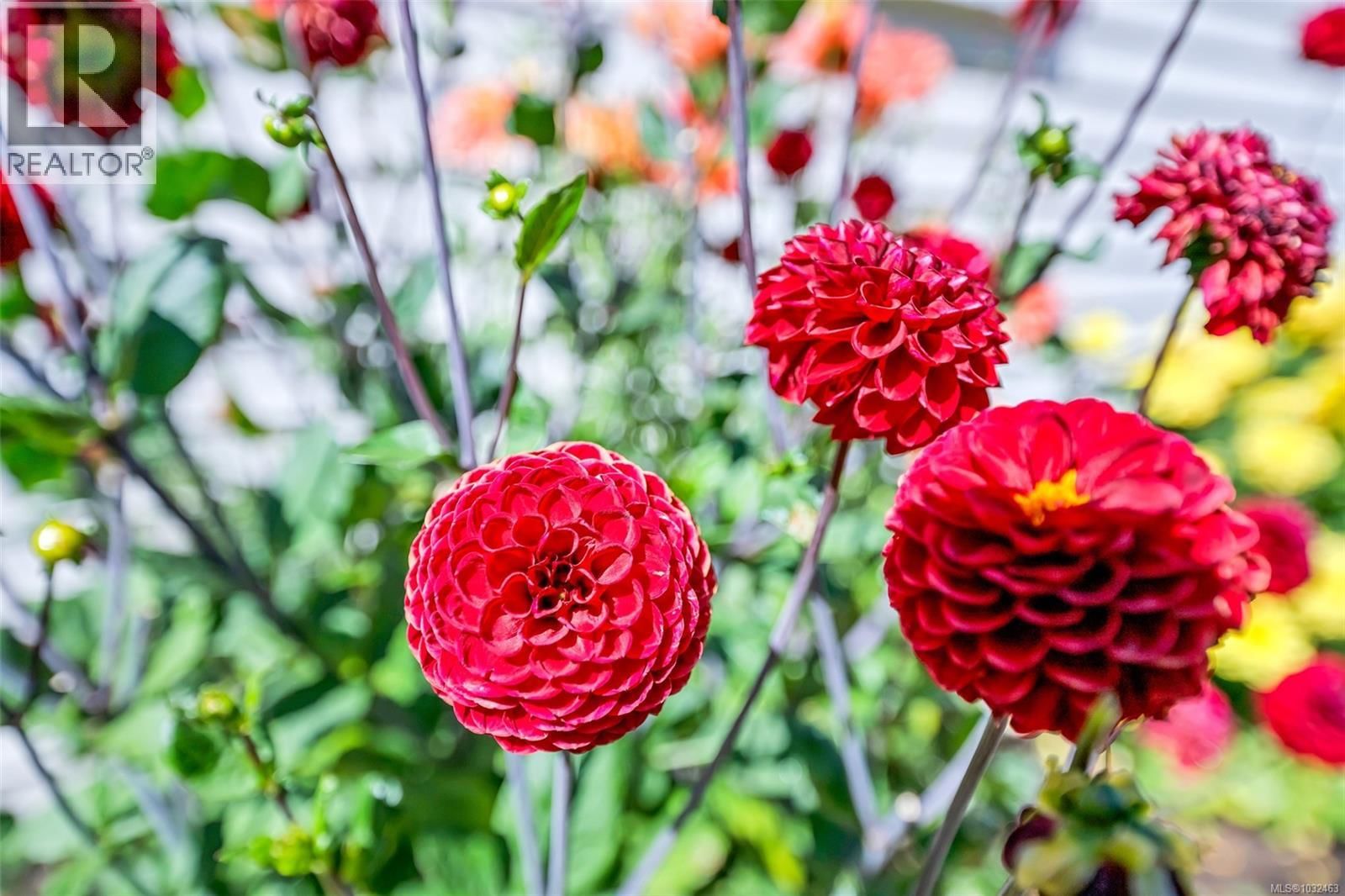 2624 FORBES STREET Image 61