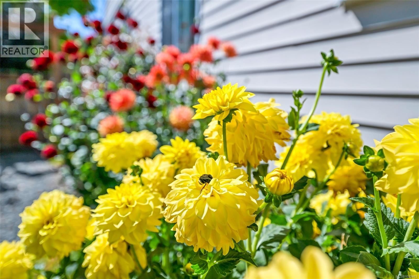 2624 FORBES STREET Image 62