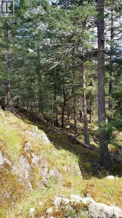 A Millicheap Road | Lasqueti Island British Columbia | Slide Image Seven