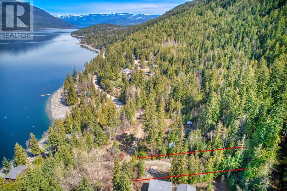 Primary Property View