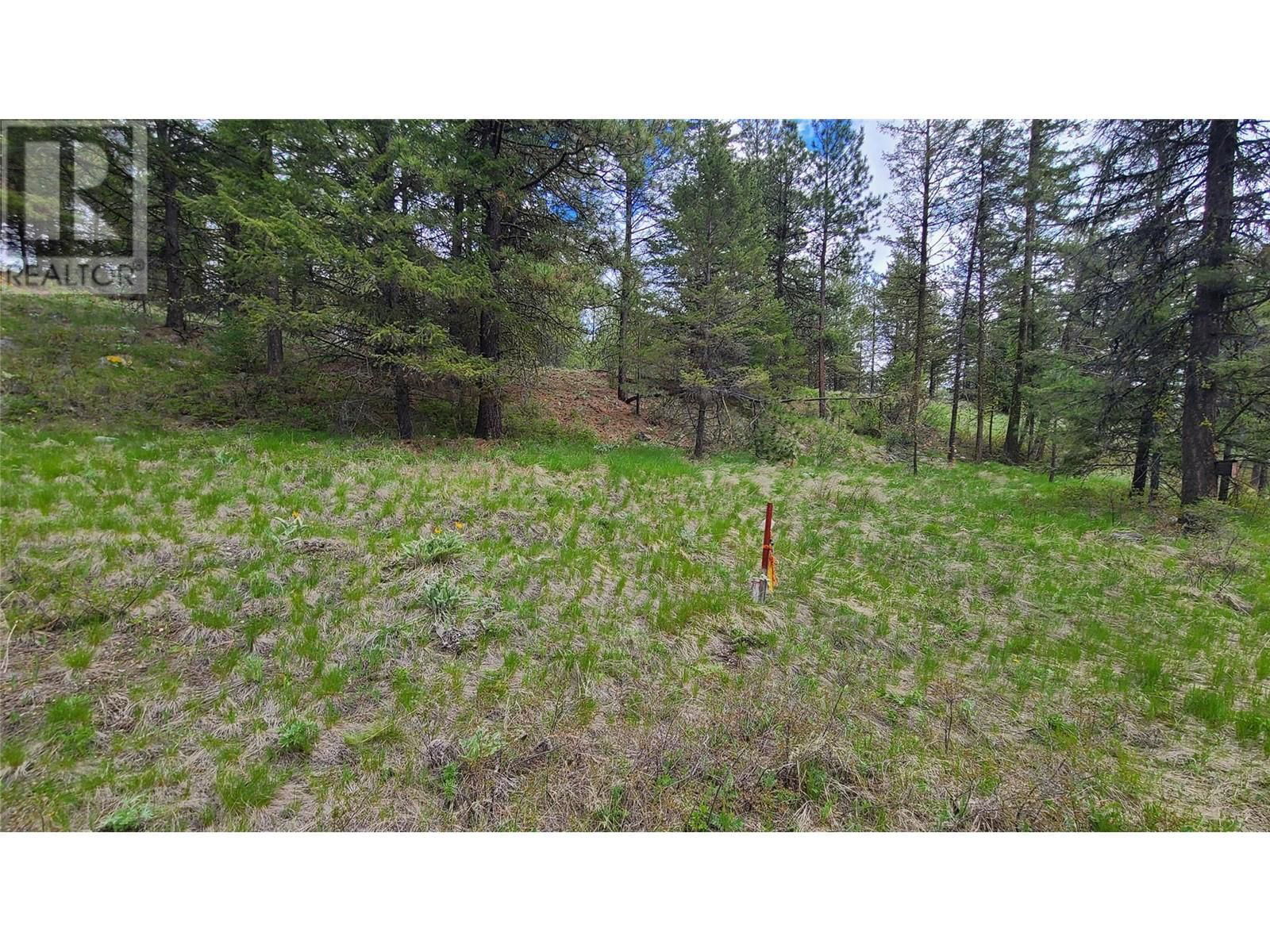 490 WAPITI Way Image 6