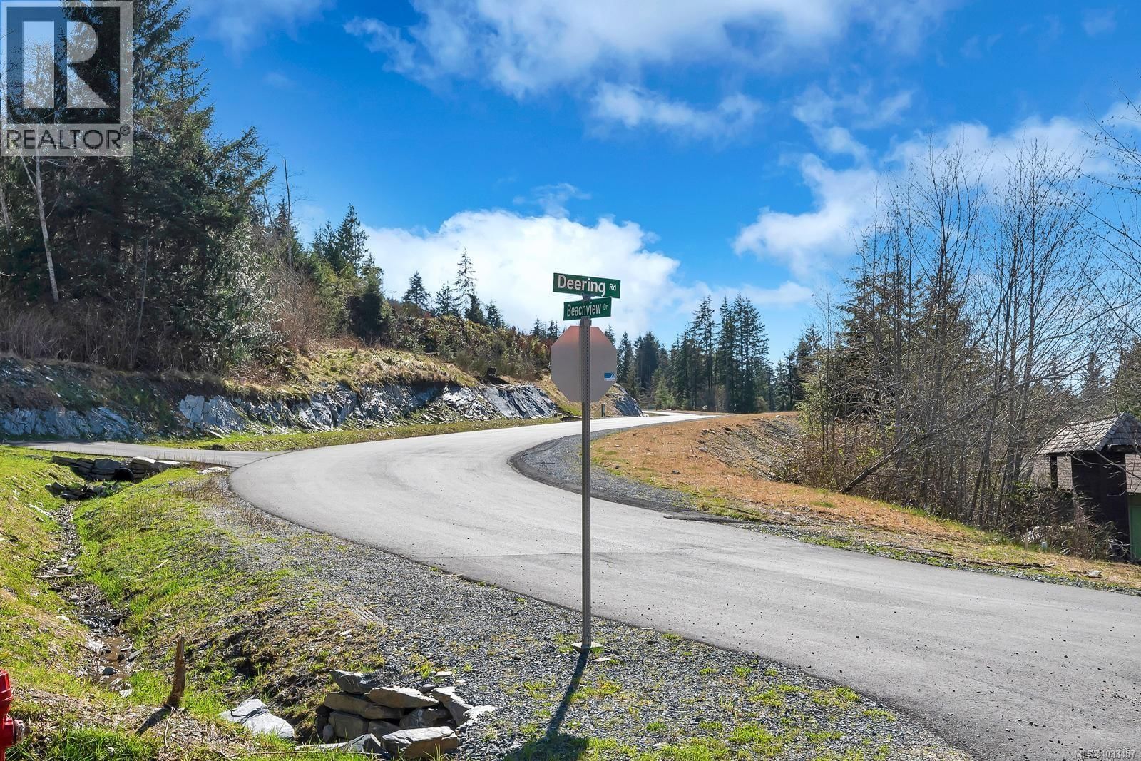 16911 Beachview Drive, Port Renfrew, British Columbia V0S 1K0