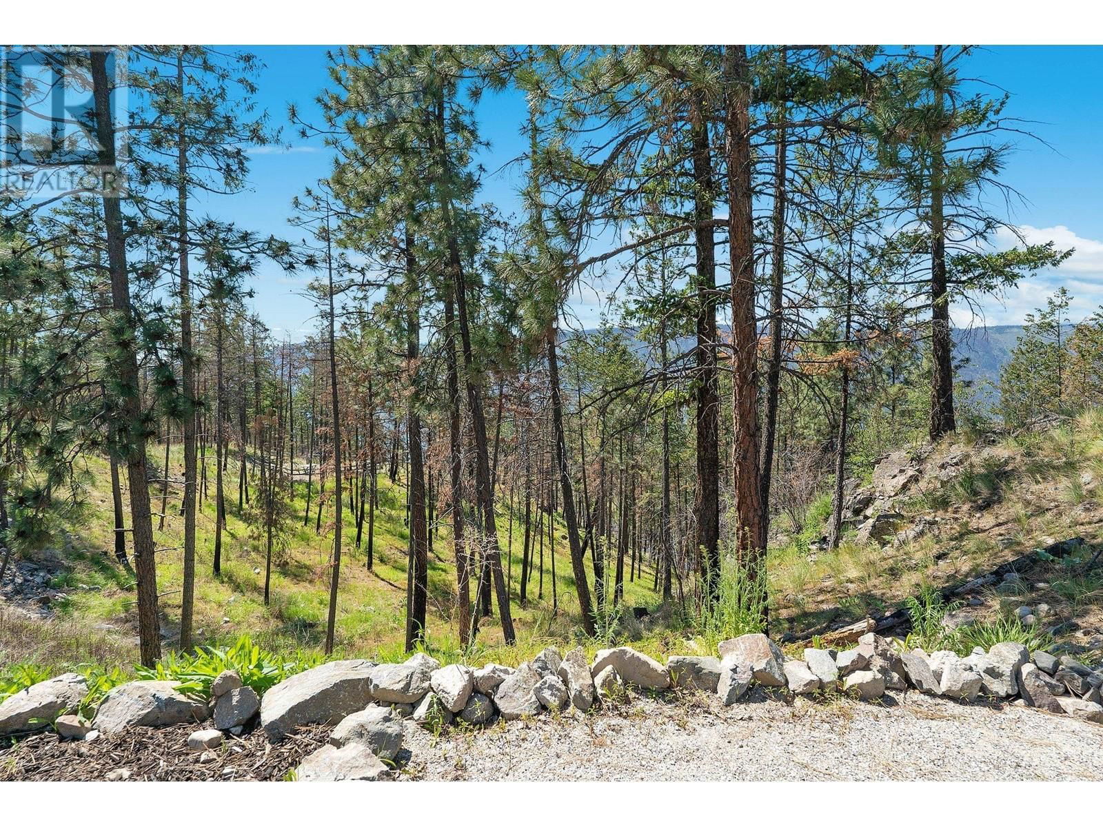 10138 BEACON HILL DRIVE Image 82