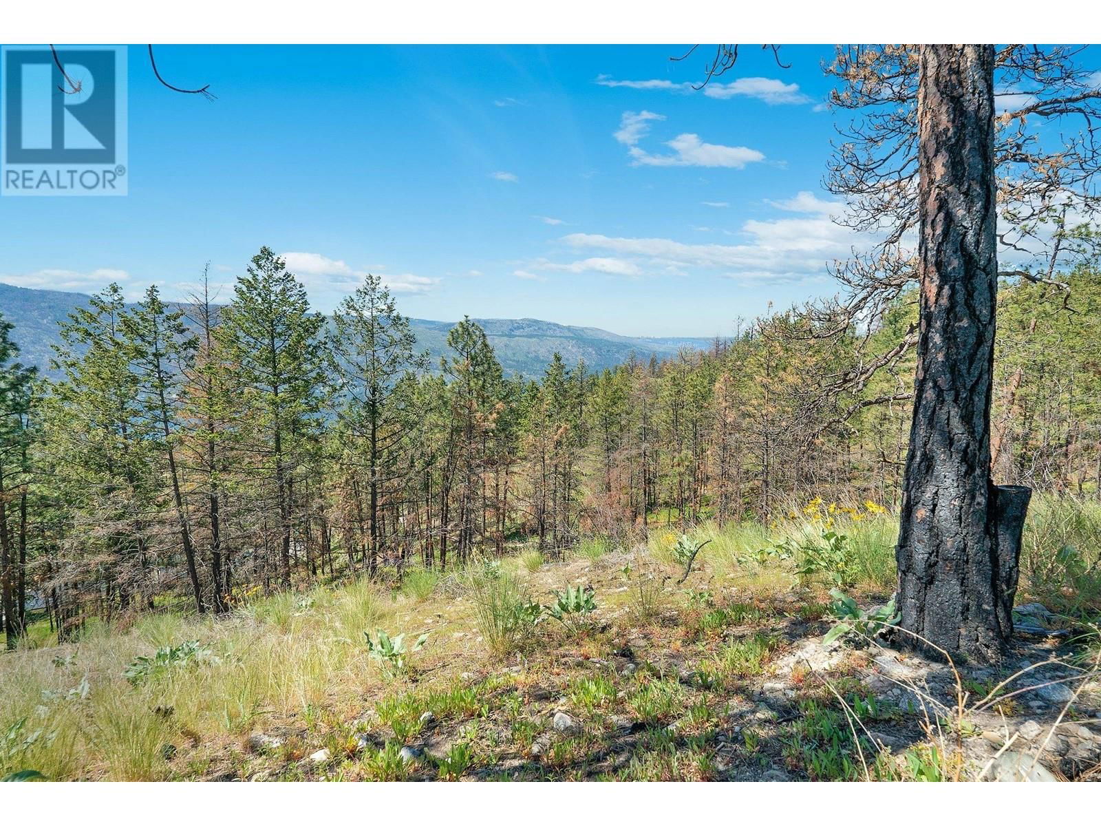 10138 BEACON HILL DRIVE Image 84