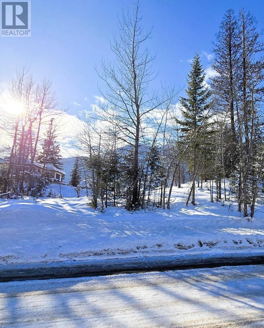 51 CARIBOO Drive, Elkford, British Columbia V0B 1H0