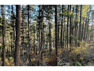 Lot 145 Keithley Road | Vernon British Columbia | Slide Image Seven