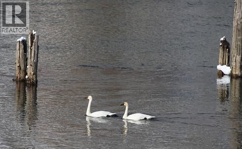 RIVERSIDE ROAD Image 13