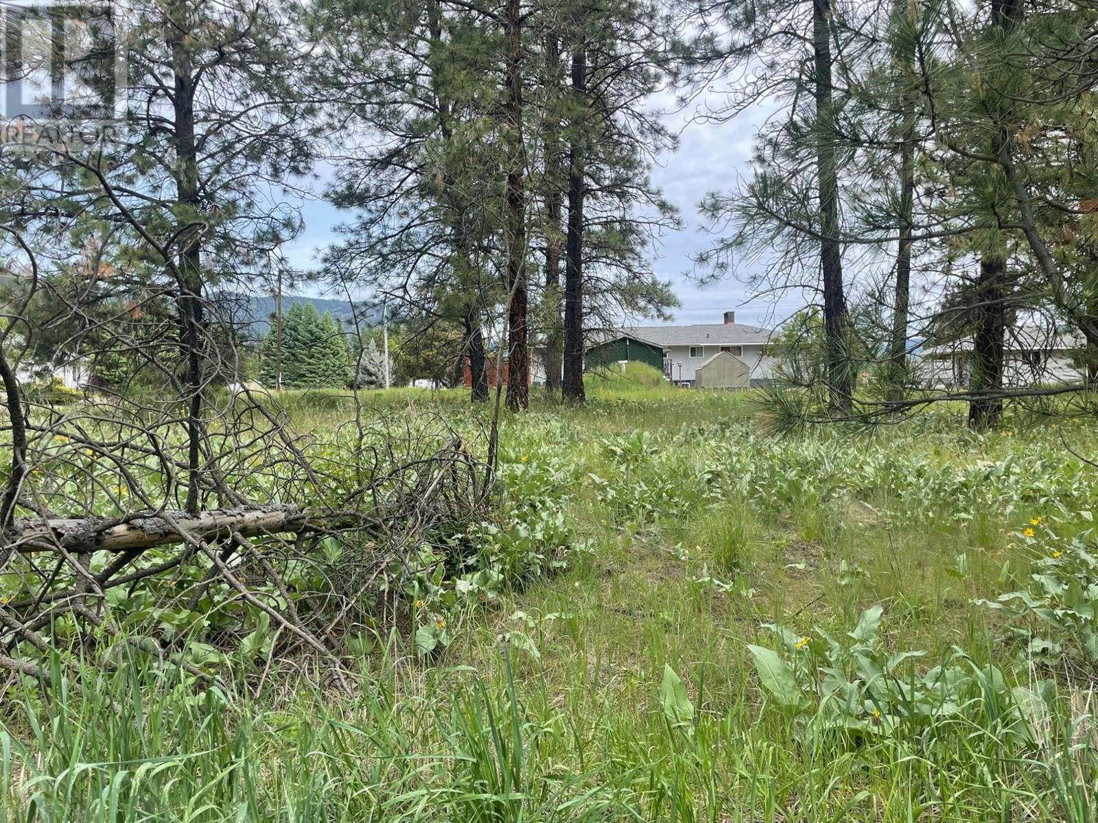 Primary Property View