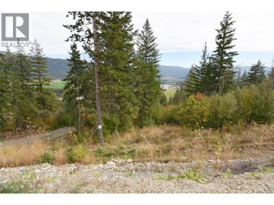 213 Crooked Pine Road | Enderby British Columbia | Slide Image Three
