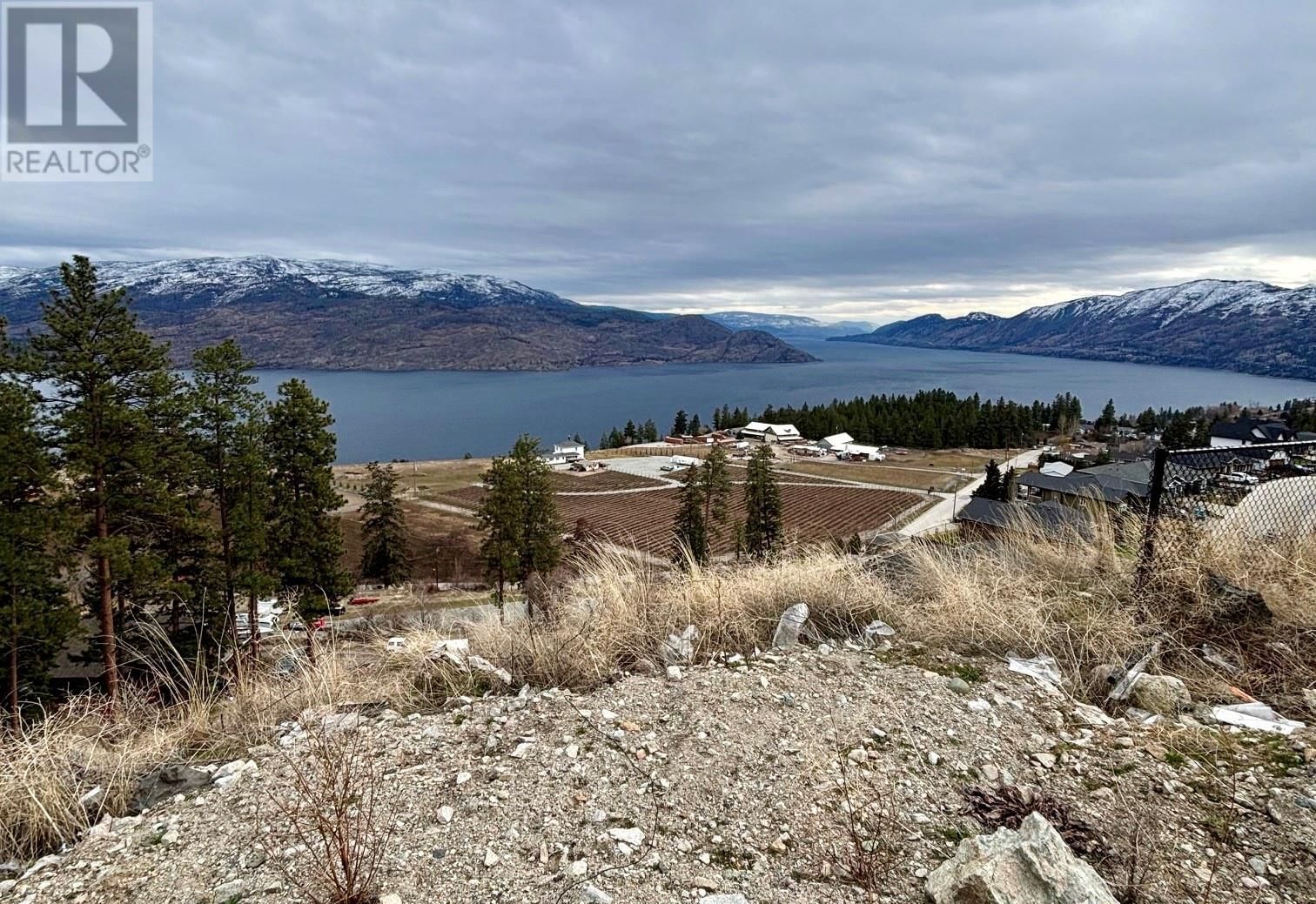 Primary Property View