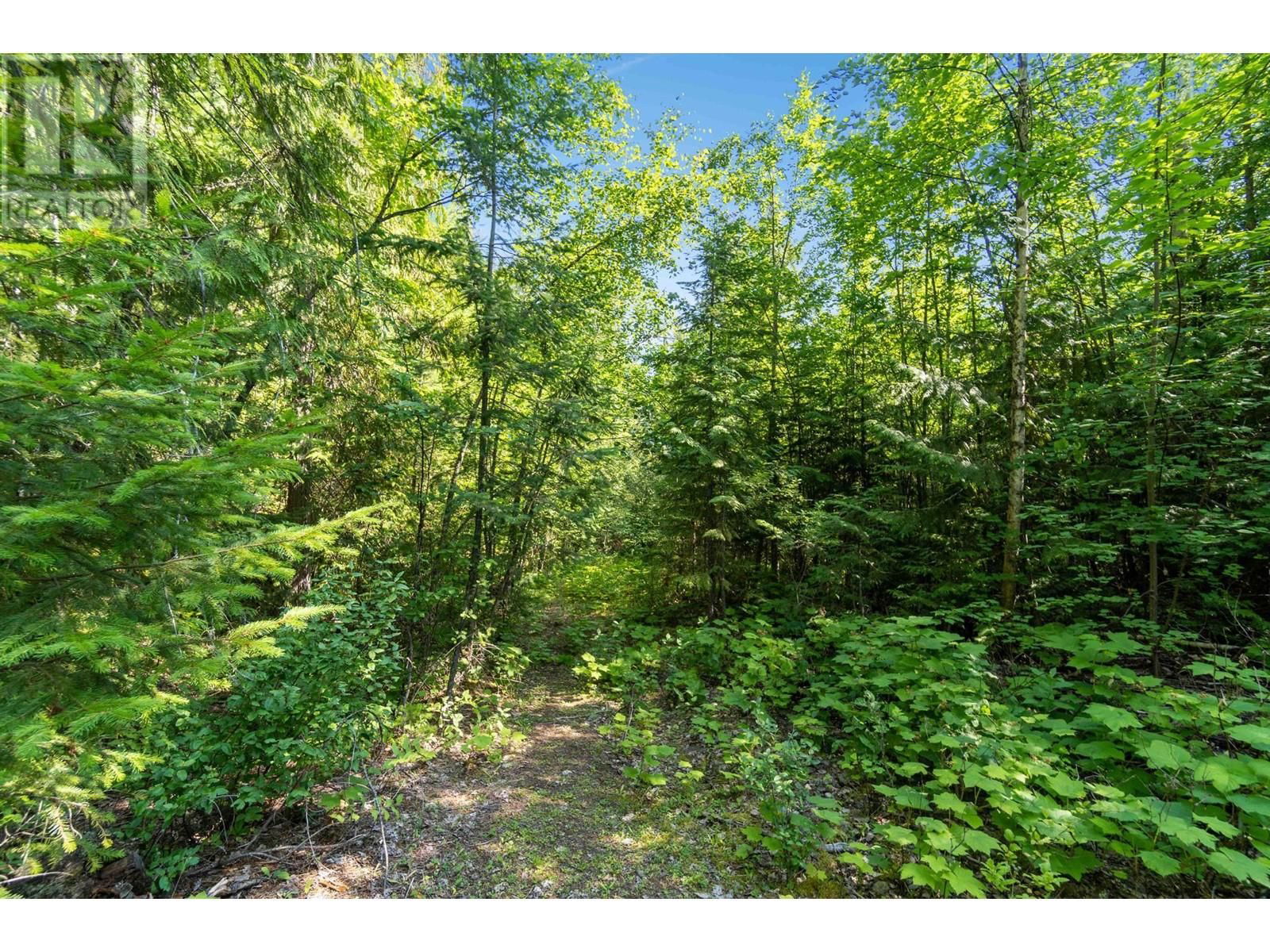 0 SUNNYBRAE CANOE POINT ROAD Image 13