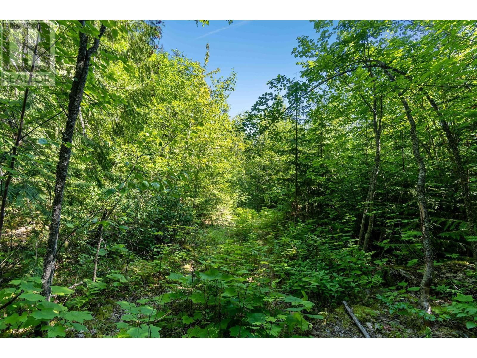 0 SUNNYBRAE CANOE POINT ROAD Image 14