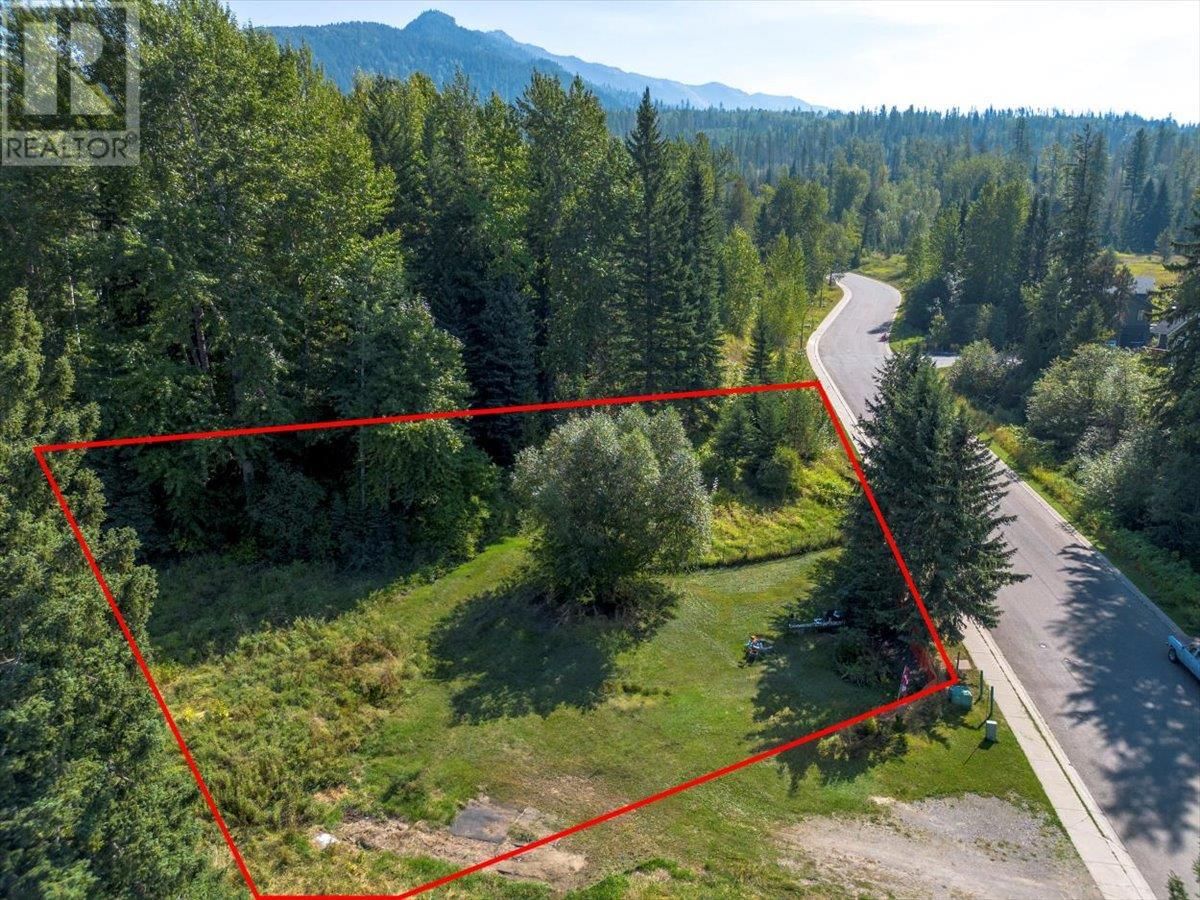 55 CASTLE MOUNTAIN Road property photo