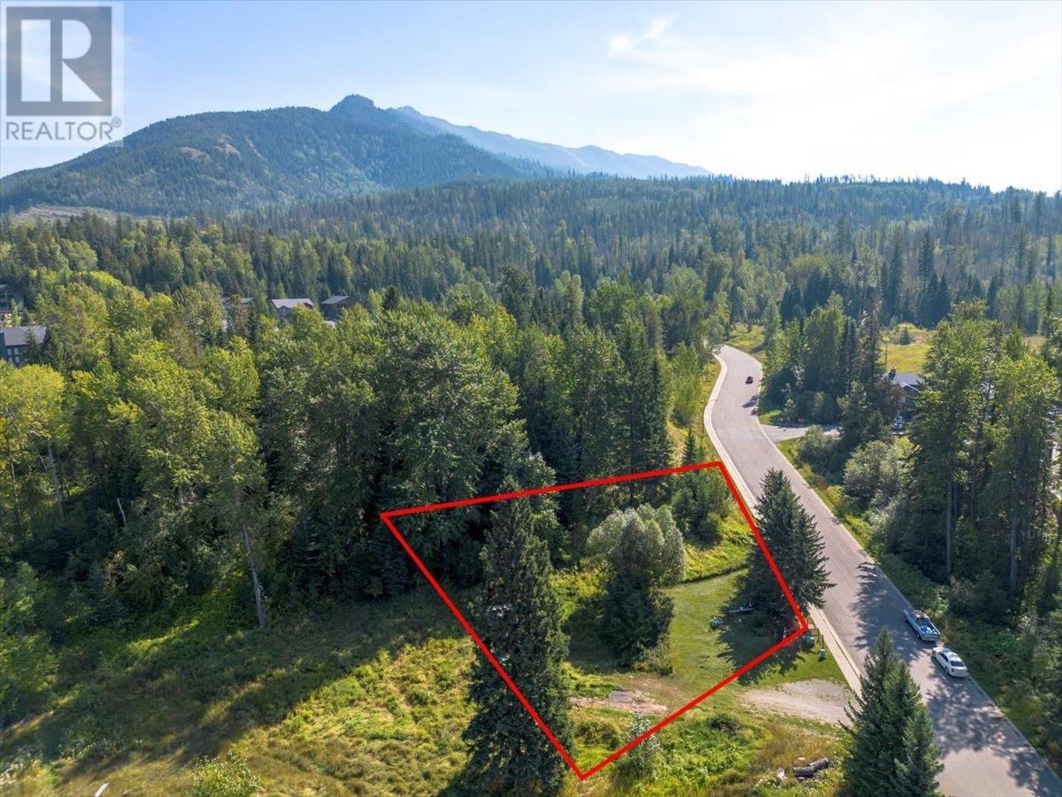 55 CASTLE MOUNTAIN Road property photo