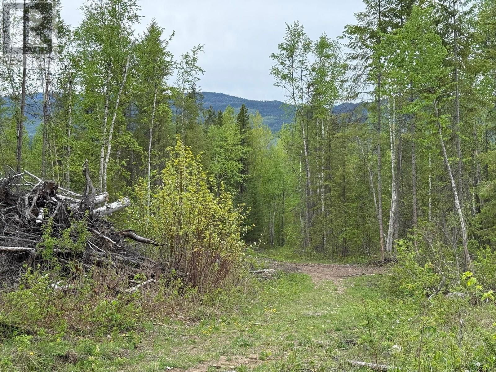 Lot 2 CANDLE CREEK ROAD Image 13