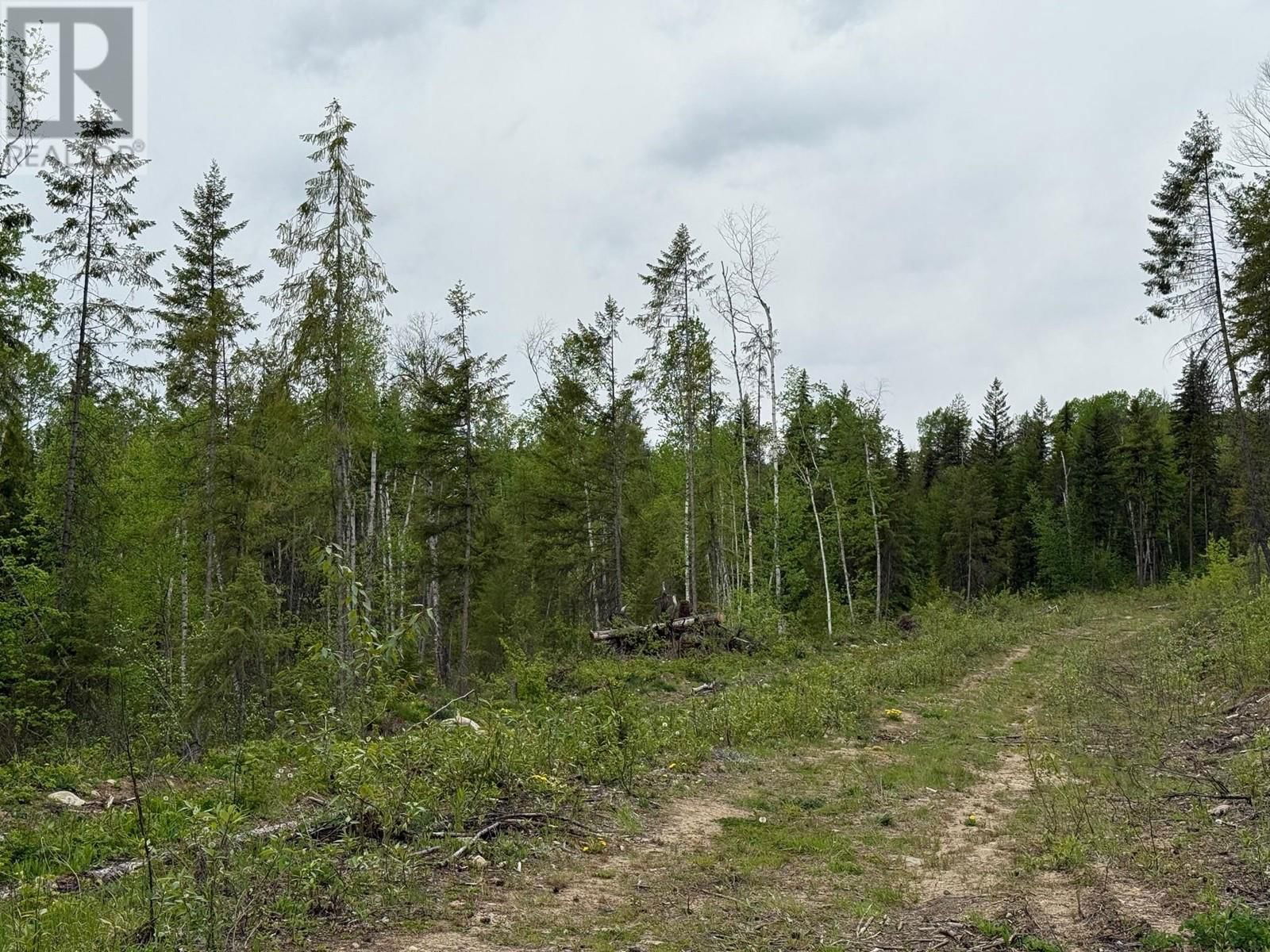 Lot 2 CANDLE CREEK ROAD Image 14