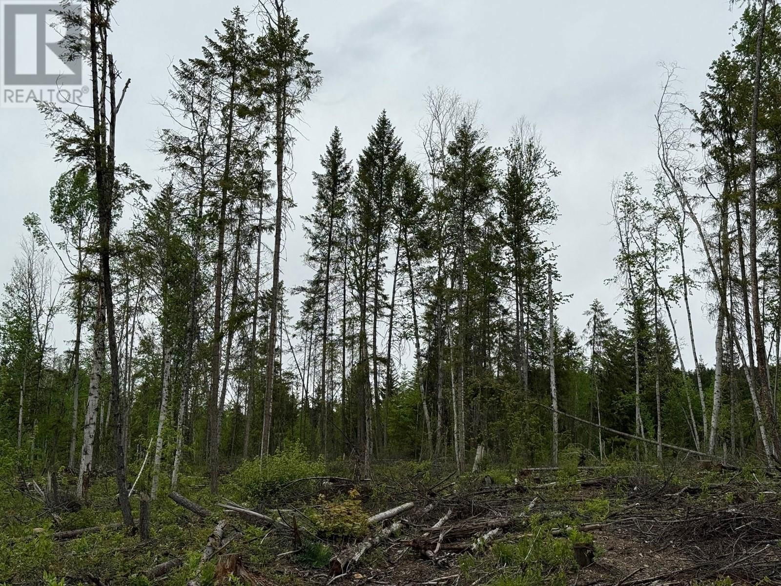 Lot 2 CANDLE CREEK ROAD Image 15