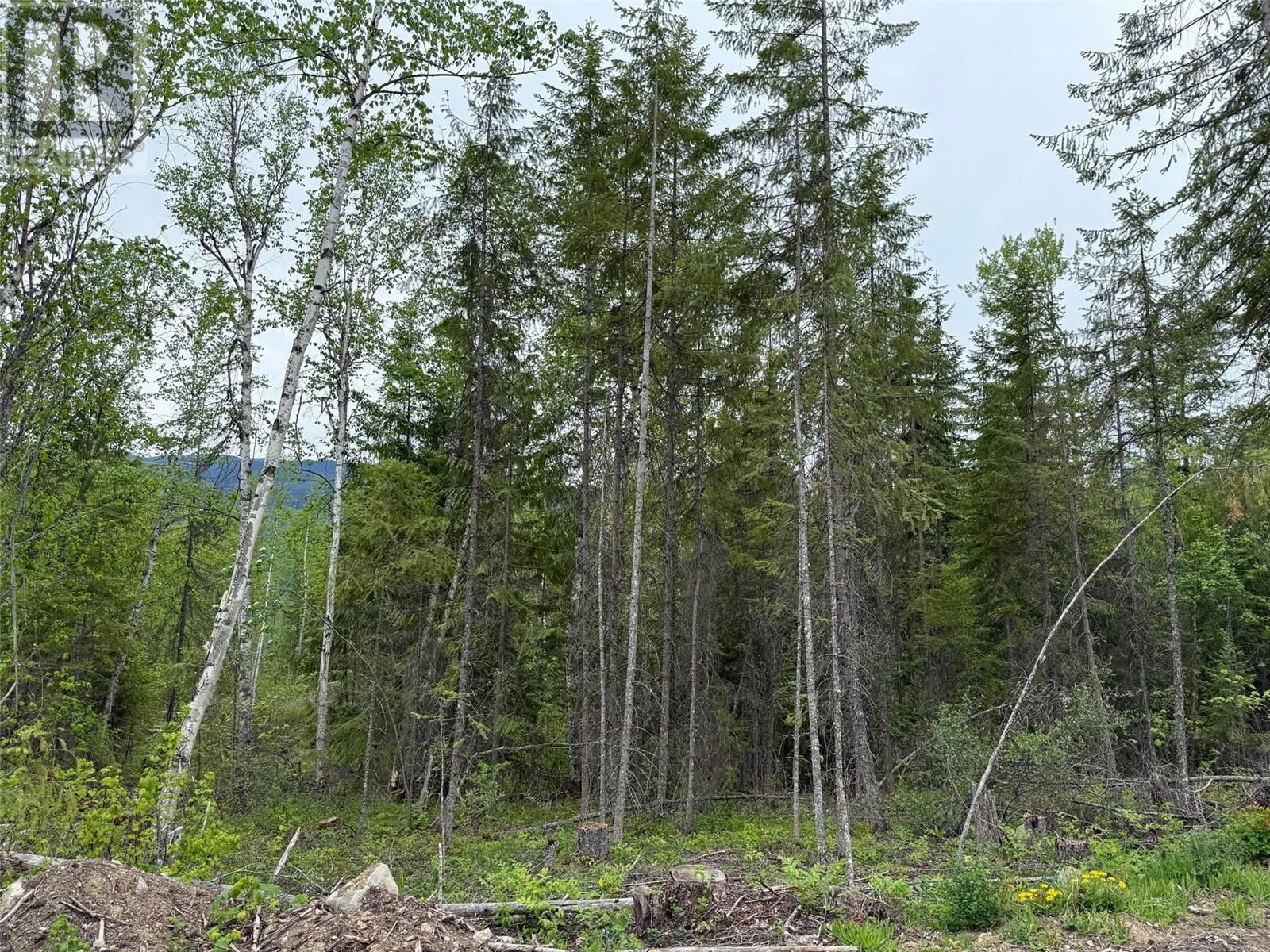 Lot 2 CANDLE CREEK ROAD Image 16