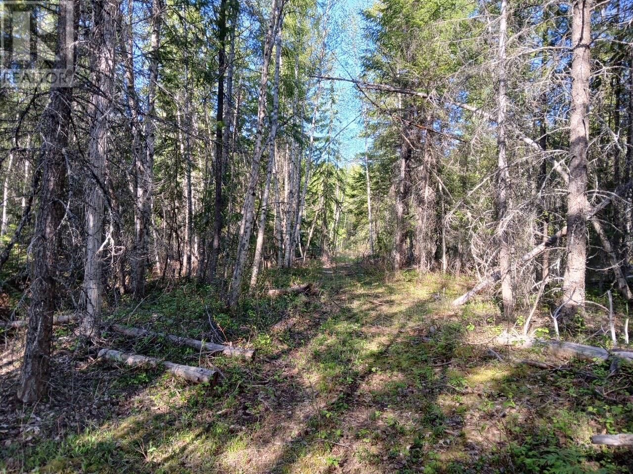 Lot 2 CANDLE CREEK ROAD Image 17
